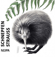 Шнепфенштраус