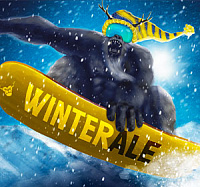 Маунтин Винтер ЭЙЛ 14°