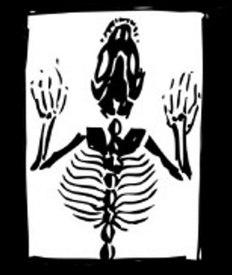 Invasive Species Brewing 