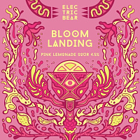 Блум Лэндинг