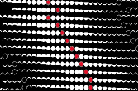 Двойной ИПА - Ситра Крио