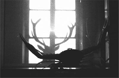 Русский Империал Стаут - Бурбон БА 25 Муа / Бурбон БА 18 Муа