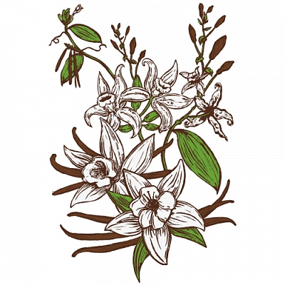 Ванилла Бин Стаут