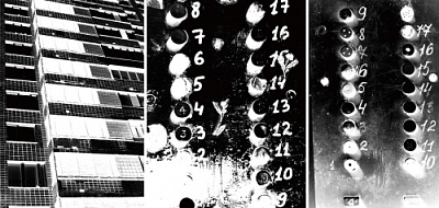 Дабл ИПА - Ситра / Айдахо 7 / Мозаик