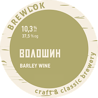 Волошин. Том 1. Глава 3