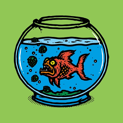 Хоп Фриш! Хоп Харвест 2025