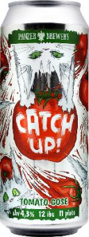 салденс копия