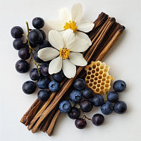 Ваниль С Черникой И Смородиной