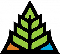 Академи Стрит ИПА