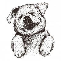 Паппи Сламбер Парти