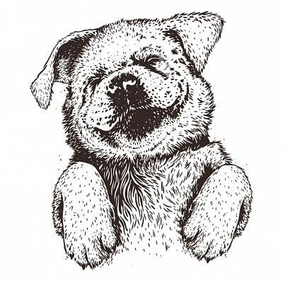 Паппи Сламбер Парти