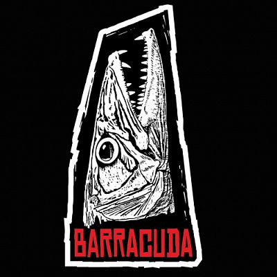 Barracuda