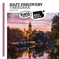 Хейзи Дискавери Тимишоара