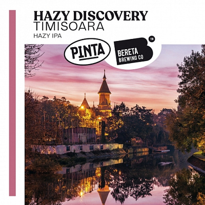 Хейзи Дискавери Тимишоара