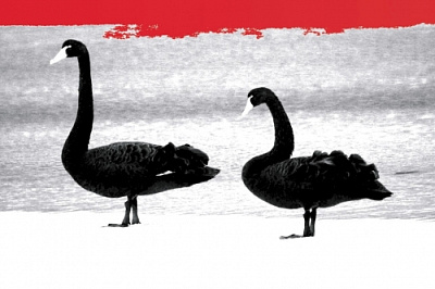 Двойной ИПА - Мозаик Крио