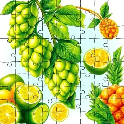 Пацл: Цитра, Чинук, Симко и Каскад