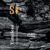 Таймлесс