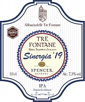 Сине́ргия '19