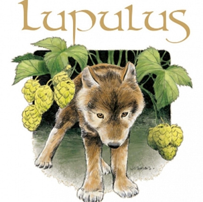 Brasserie Lupulus