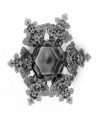 Коллаборация - Лапаизе / Ла Монтаньярд (2021)