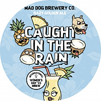 Коут Ин Зе Рейн