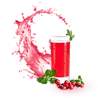 ФрутВуд Барбарис